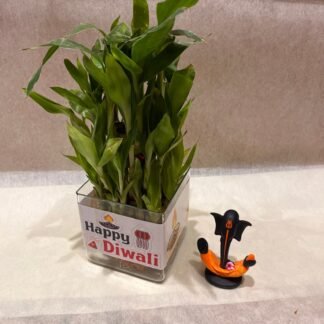 Bamboo Plant with Ganesha Idol