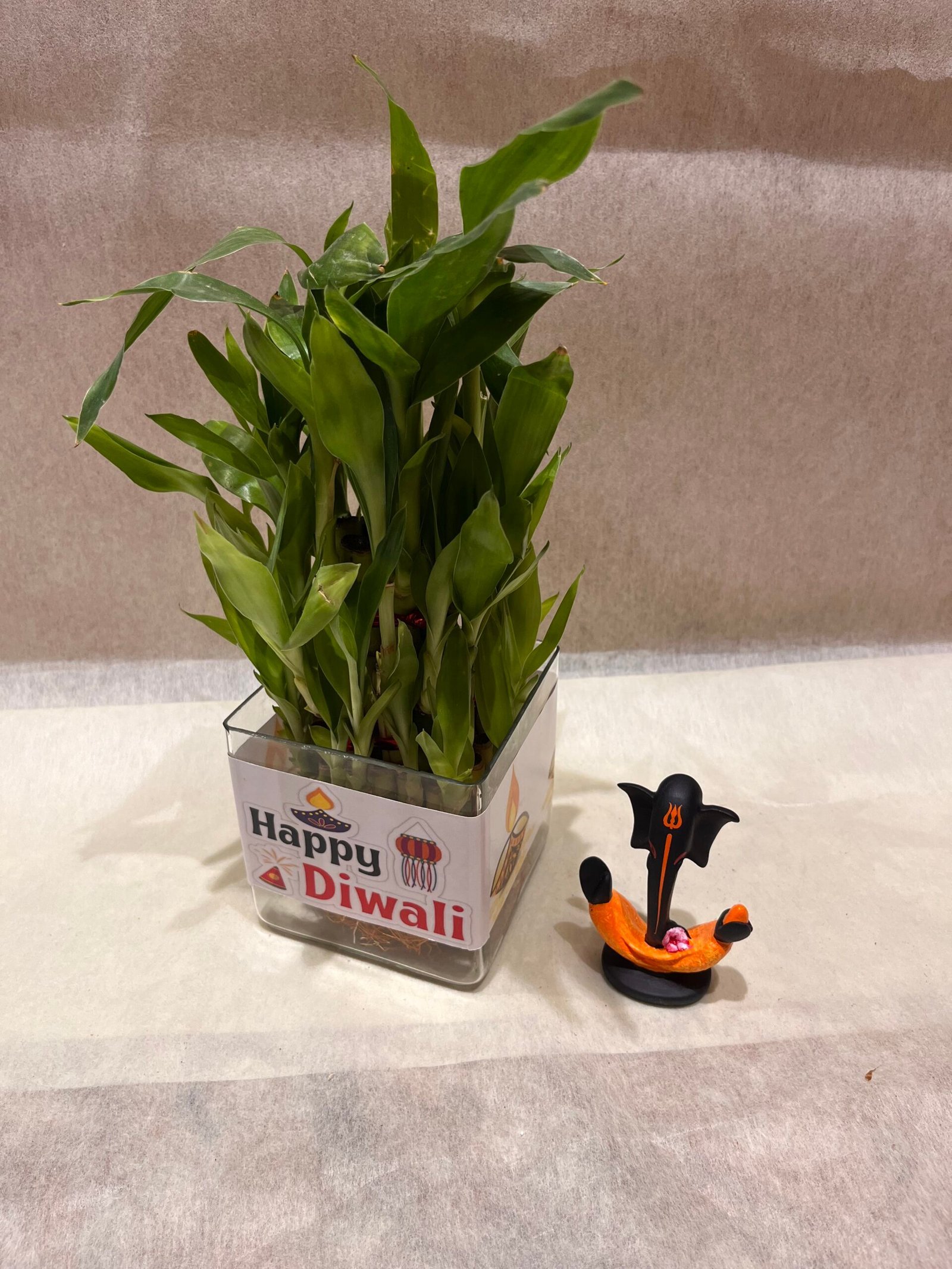 Bamboo Plant with Ganesha Idol