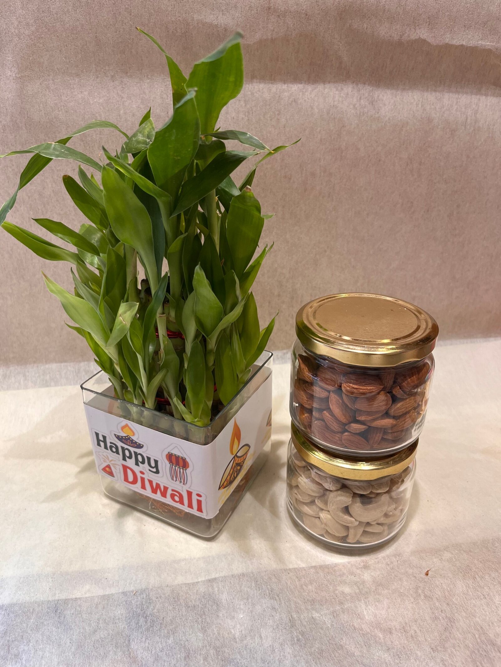 Bamboo Plant n Dry Fruits