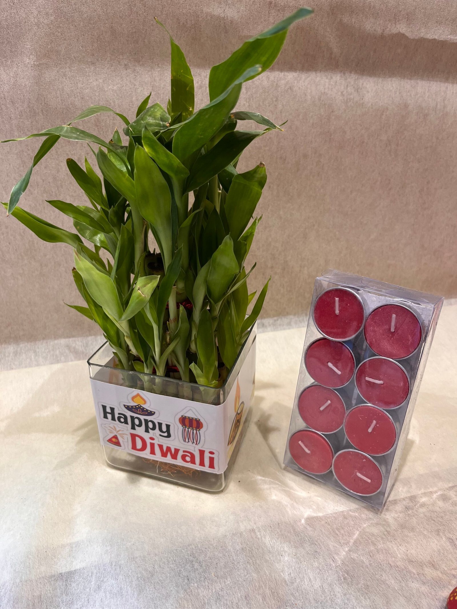 Good-luck plant n Tea-Lights pack