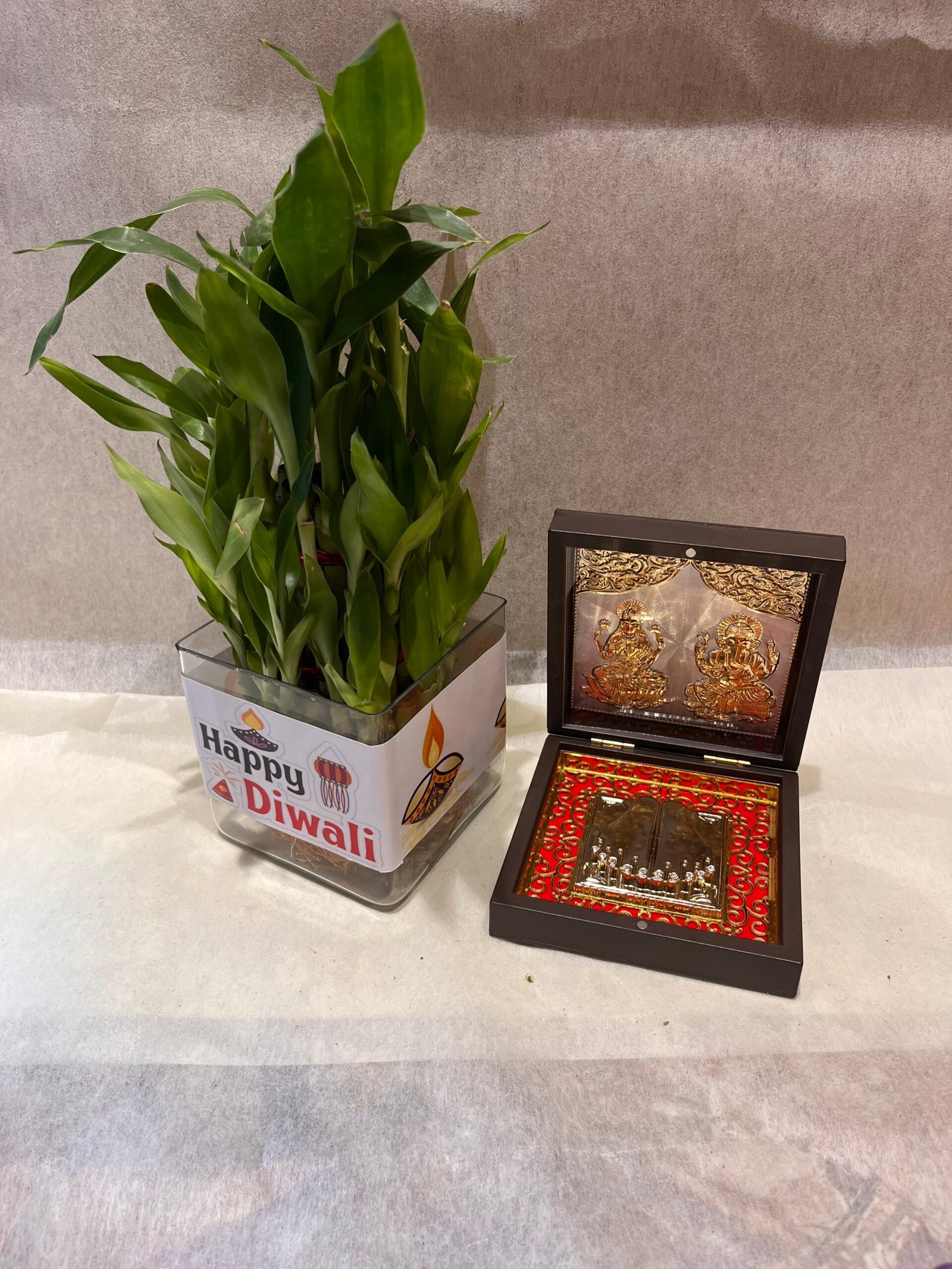 Good-Luck Plant n Pooja Box