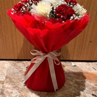 Red n White Mix Carnations  Bouquet