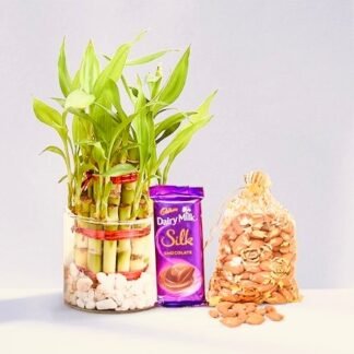 Celebration Gift Combo