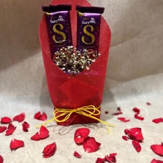2pcDairy Milk Silk-55gm Each(With Packing)
