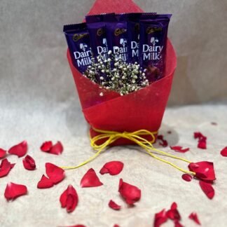 5pc Dairy milk- 20gm Each(With Packing)