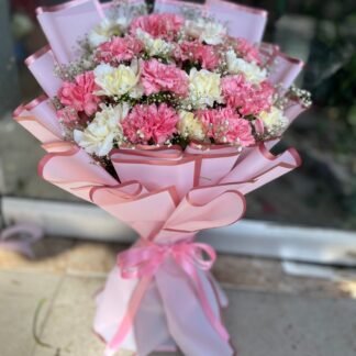 Carnation's Beauty