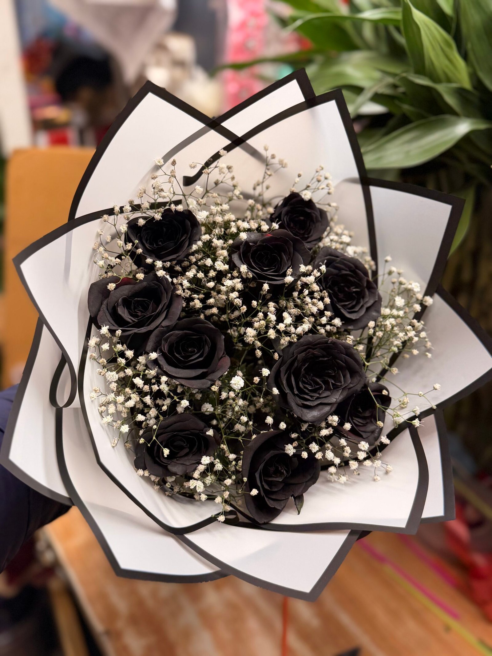 Dashing Spray Black Roses-By PGA