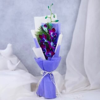 Premium Single Blue Orchid