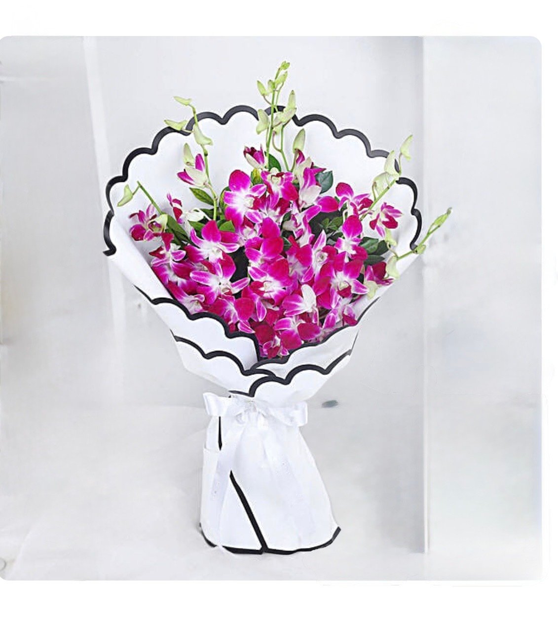 Majestic Purple Orchid Blooms