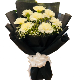 White Carnations Beauty-By PGA