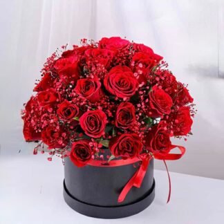 Premium Box Of Red Rosy