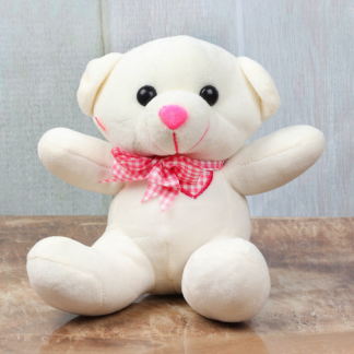 6 Inches White Teddy