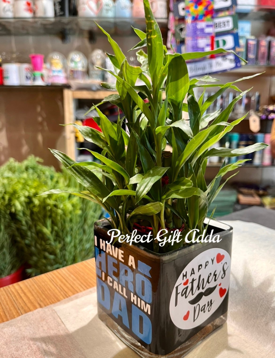 Father's Day Special Bamboo Plant-By PGA - Image 2