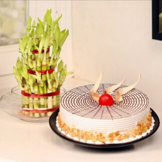 Three Layer Bamboo with Butterscotch Cake