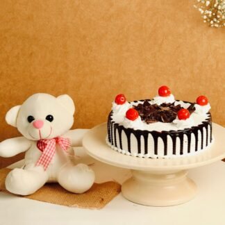 Teddy with cake