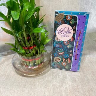 Rakhi n Bamboo