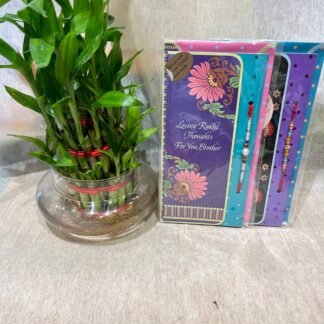 2 Rakhi n Lucky Bamboo Plant