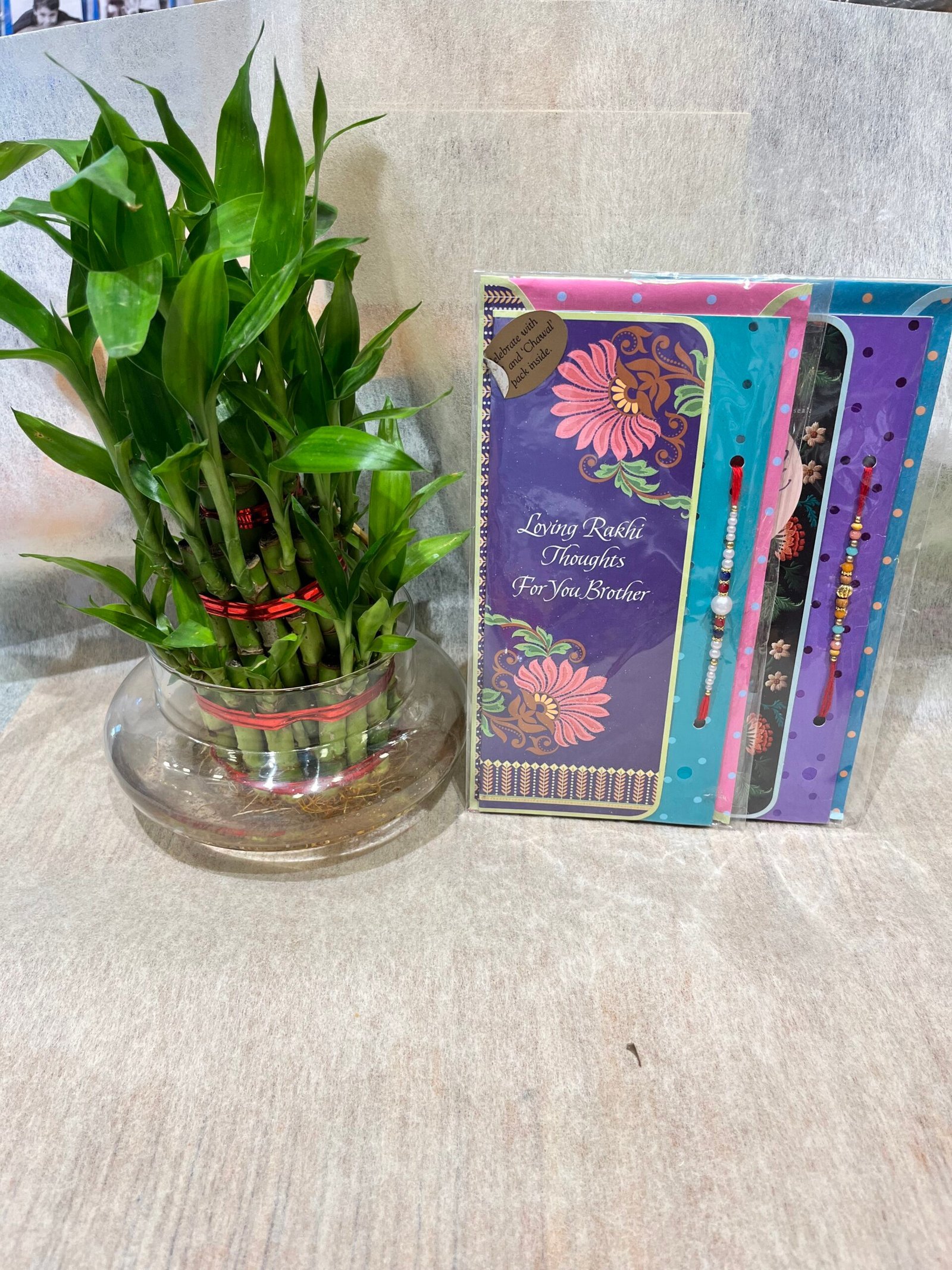 2 Rakhi n Lucky Bamboo Plant