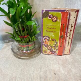 Rakhi n Bamboo plant