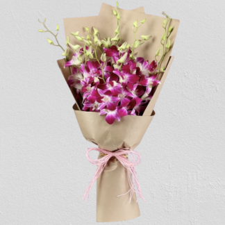 Orchids Beauty