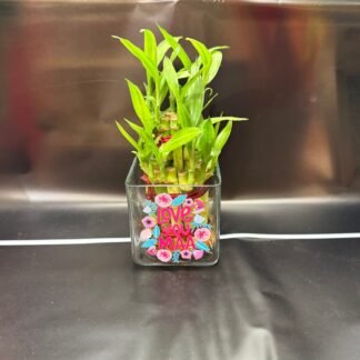 Love You Maa-Good Luck Bamboo Plant