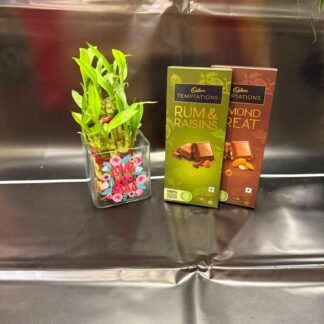 Good Luck Plant With Cadbury's Chocolate